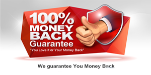 Custom essay money back guarantee